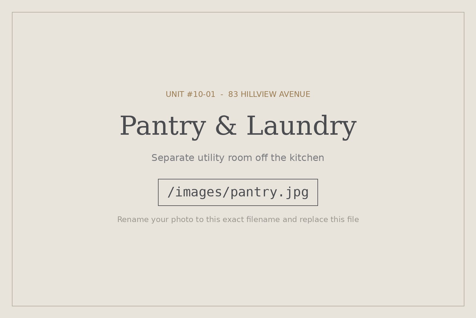 Pantry and laundry